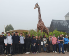 Sixth Form Visit to Colchester Zoo 2